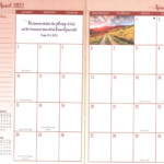 Psalms 2022 2023 2 Year Pocket Planner Calendar Organizer