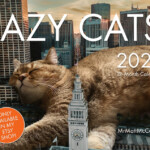 LAZY CAT CALENDAR 2023 Cat Wall Calendar Original Cat Art Etsy